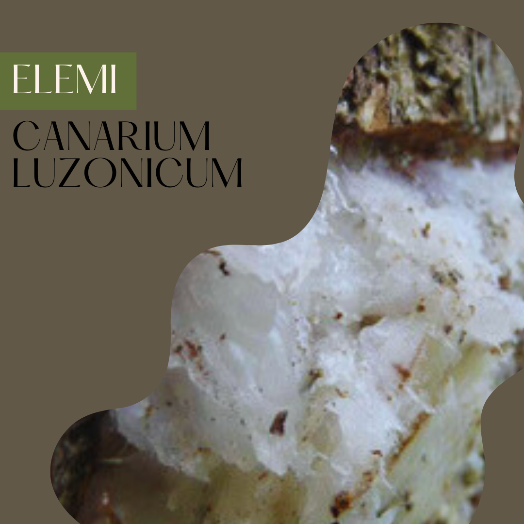 Elemi
