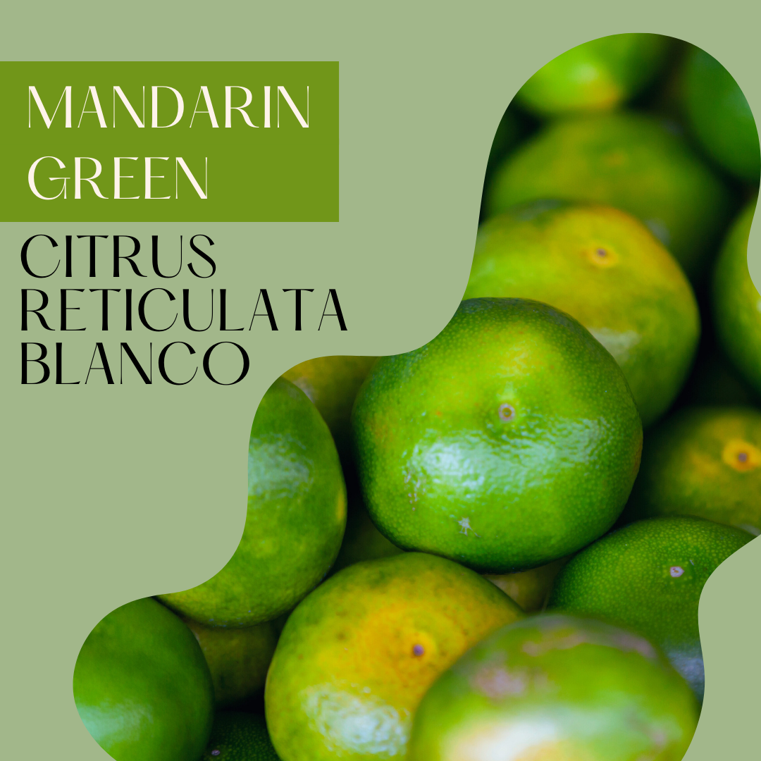 Mandarin Green