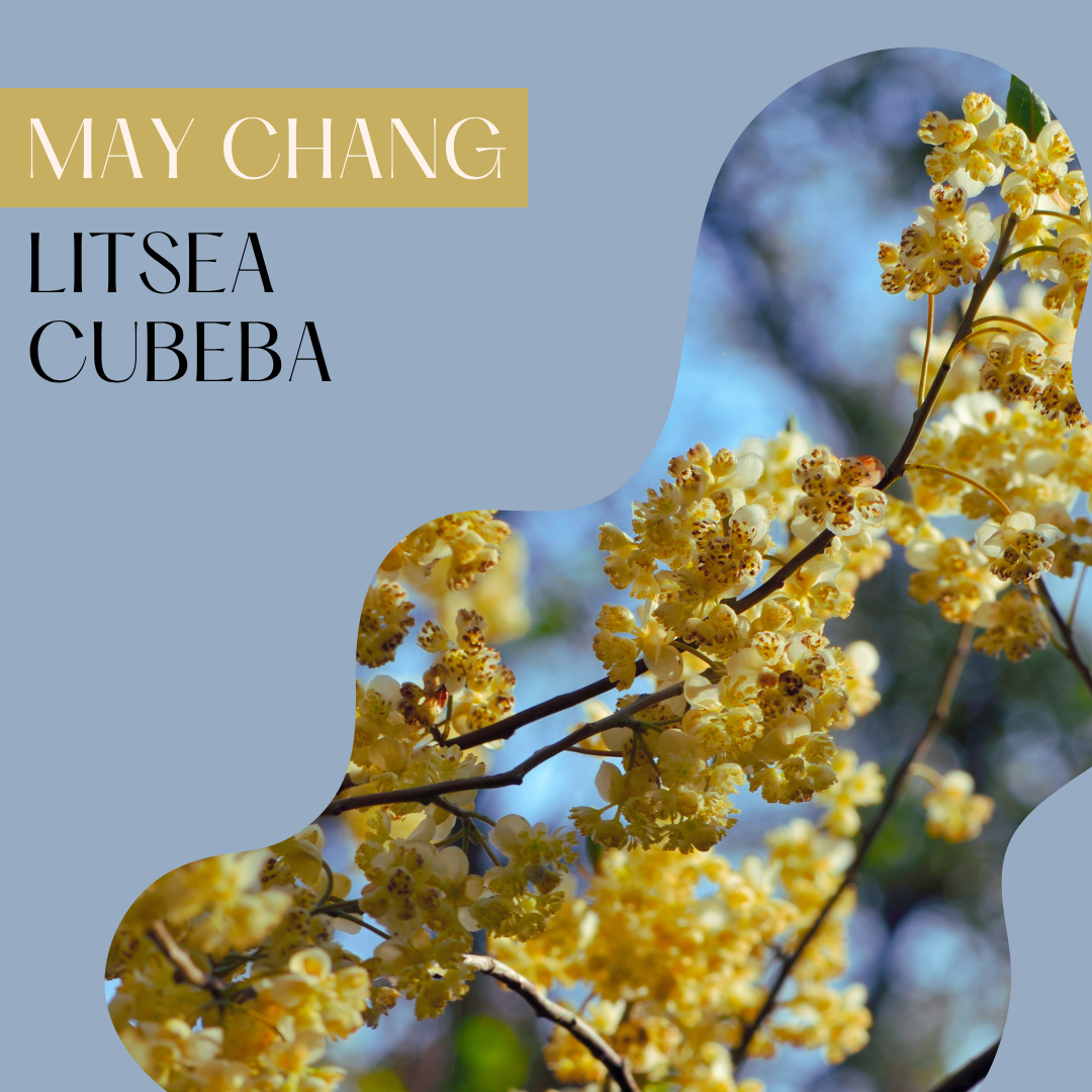 May Chang