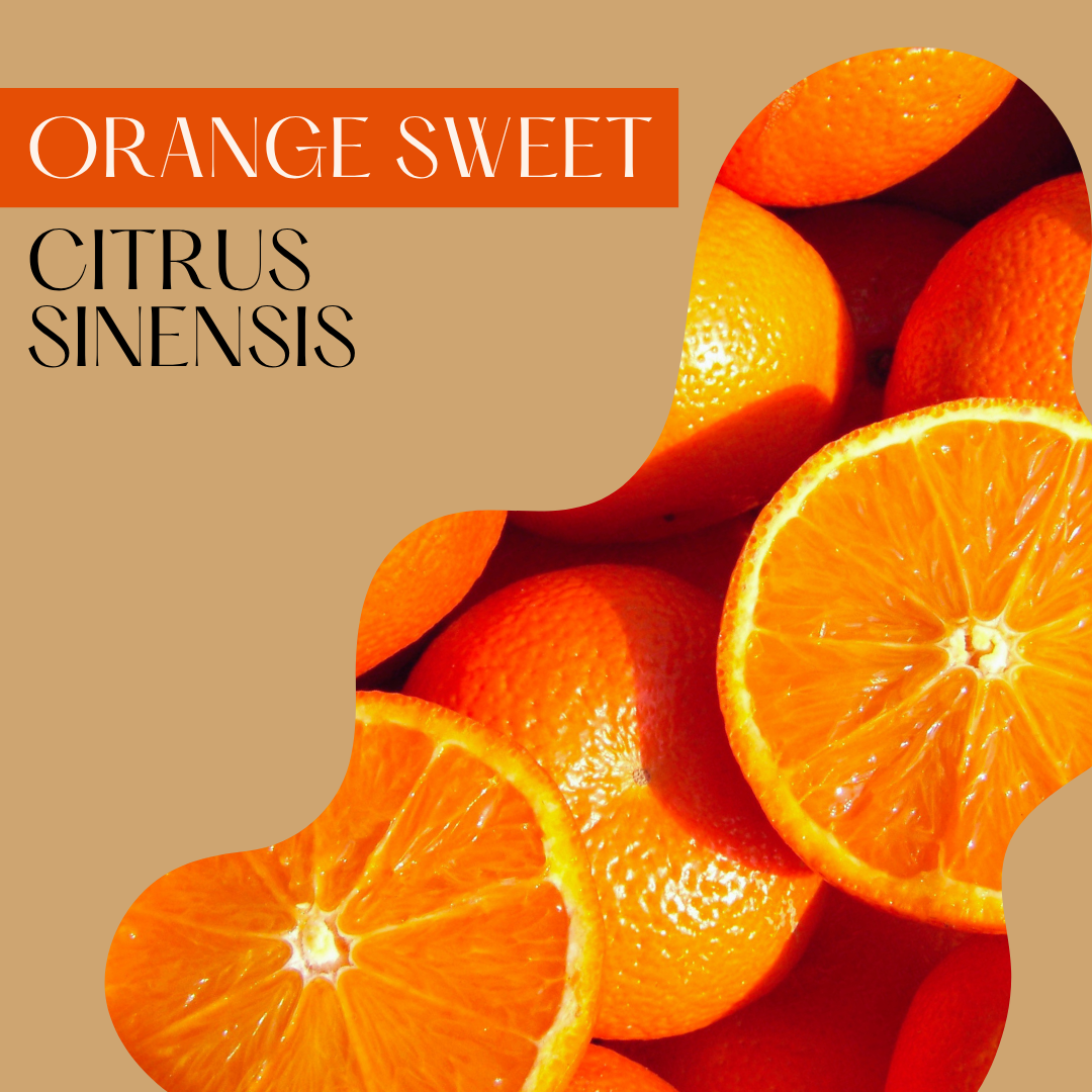 Orange Sweet