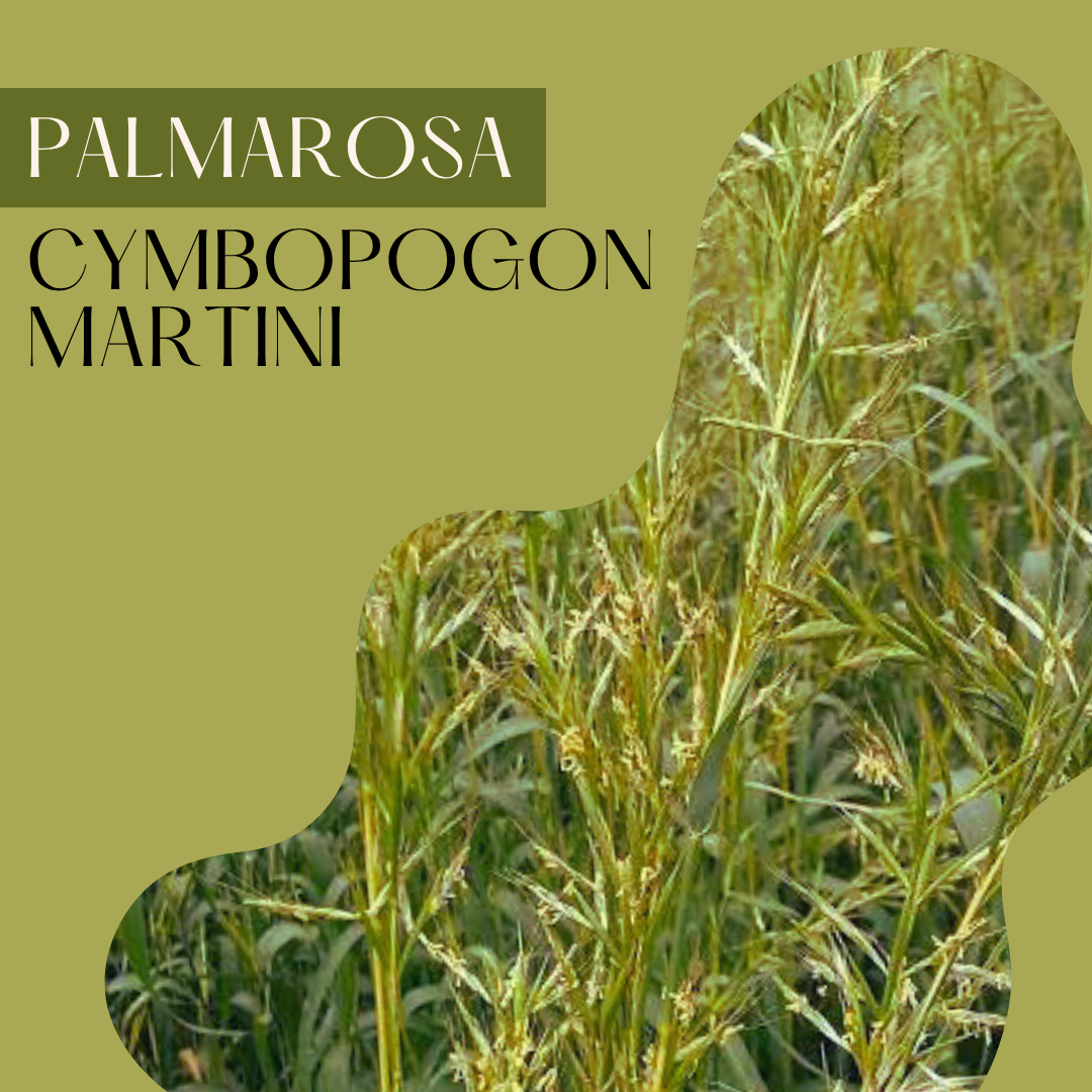 Palmarosa
