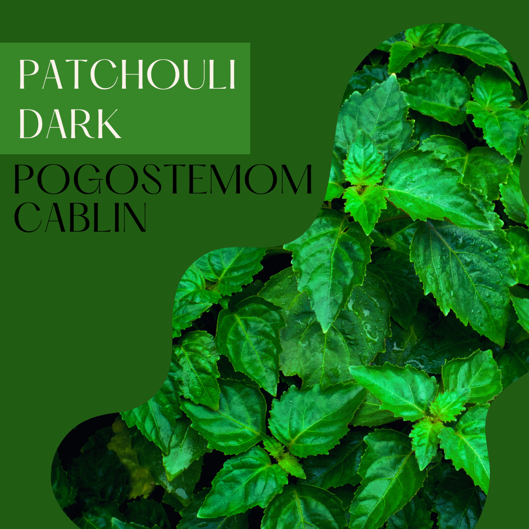 Patchouli Dark