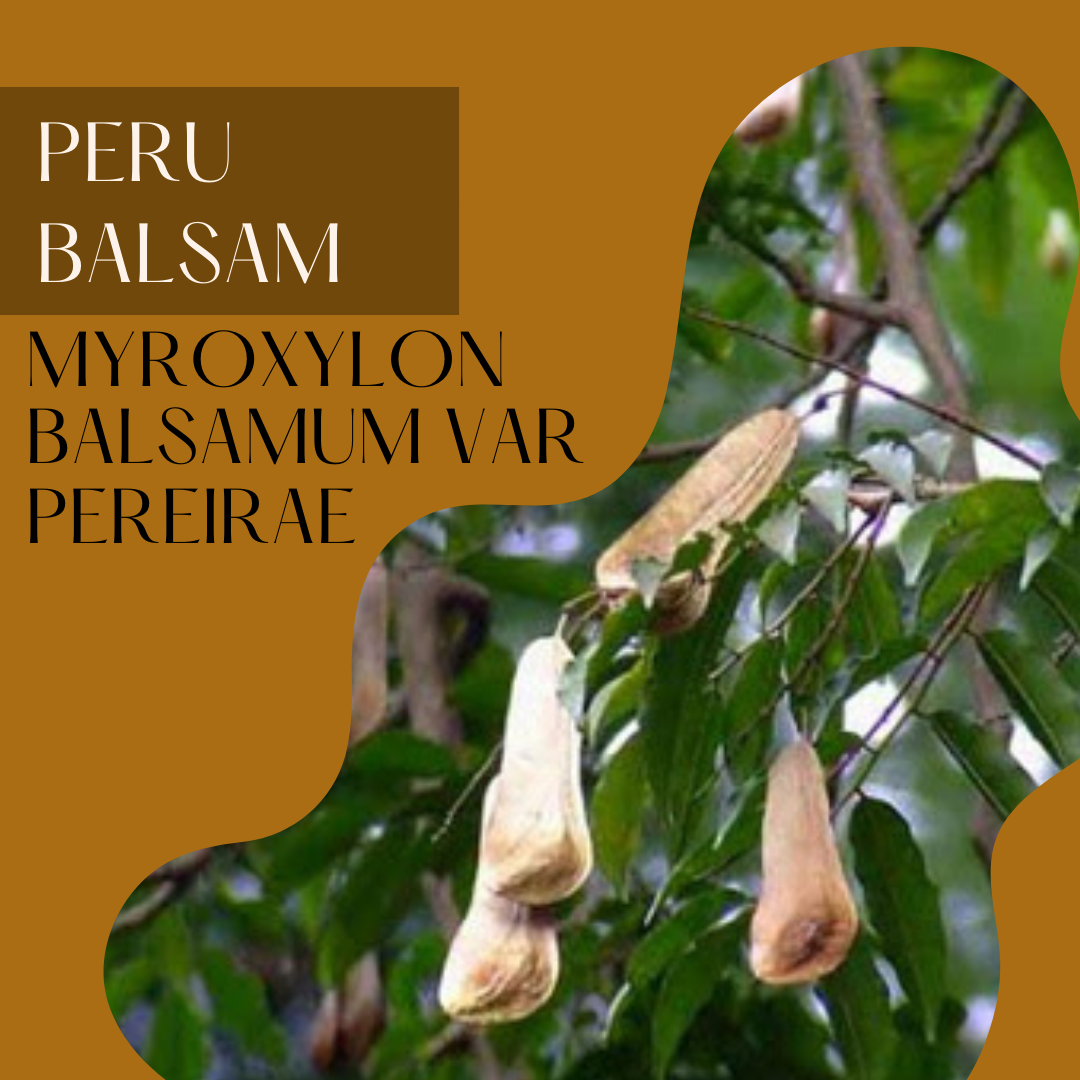 Peru Balsam