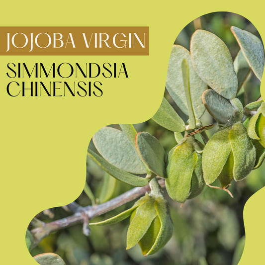 Jojoba Virgin