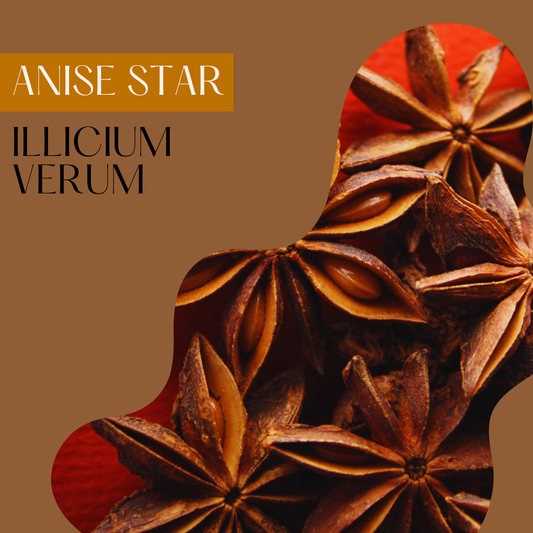 Anise Star