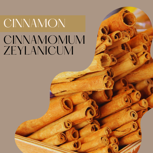 Cinnamon Bark