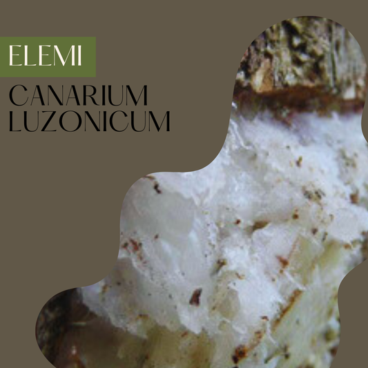 Elemi