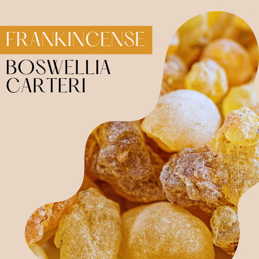 Frankincense Premium