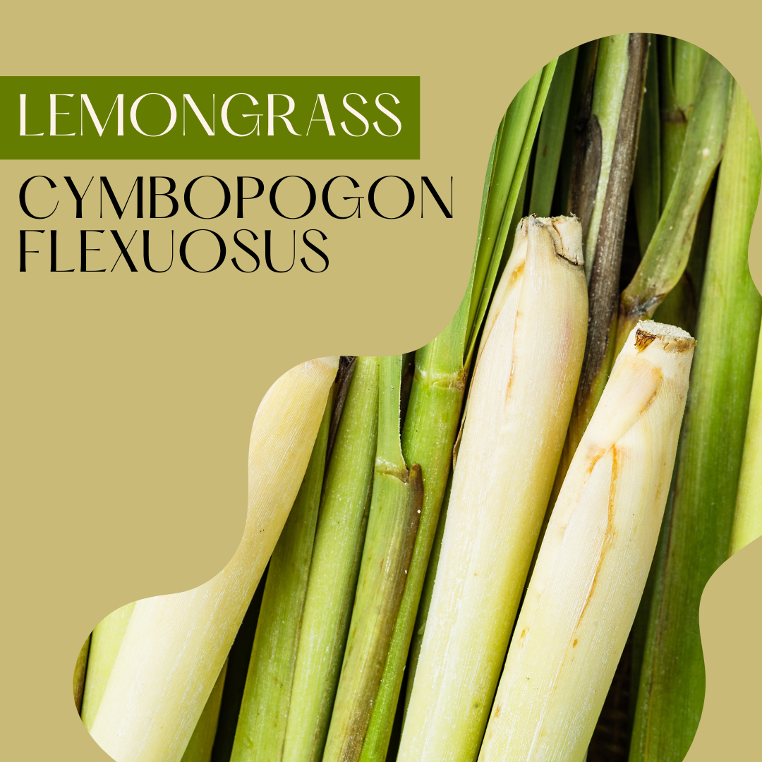Lemongrass