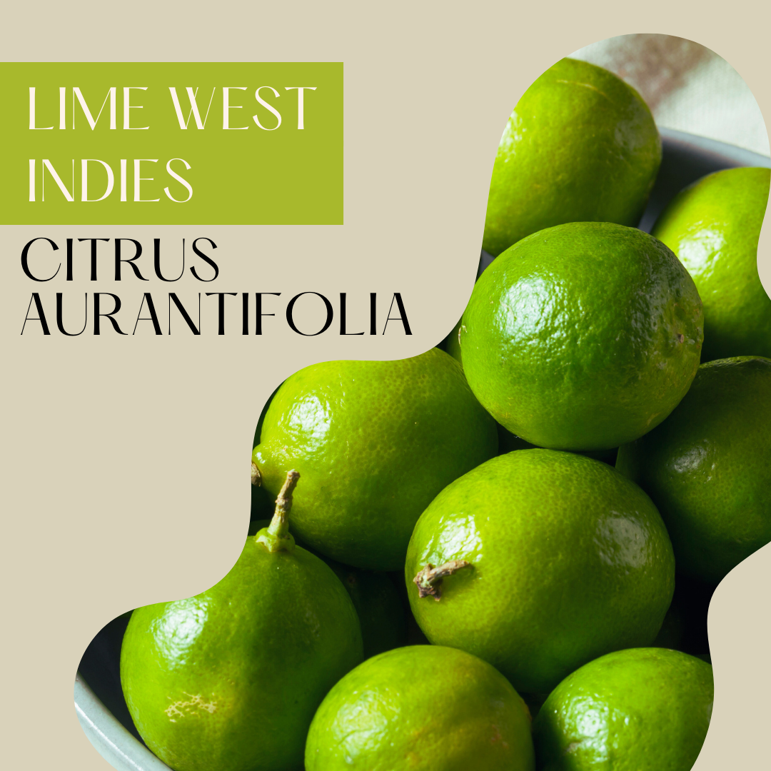 Lime West Indies