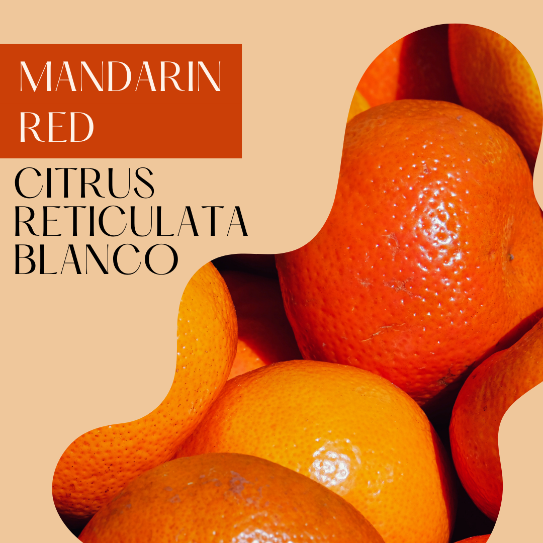 Mandarin Red