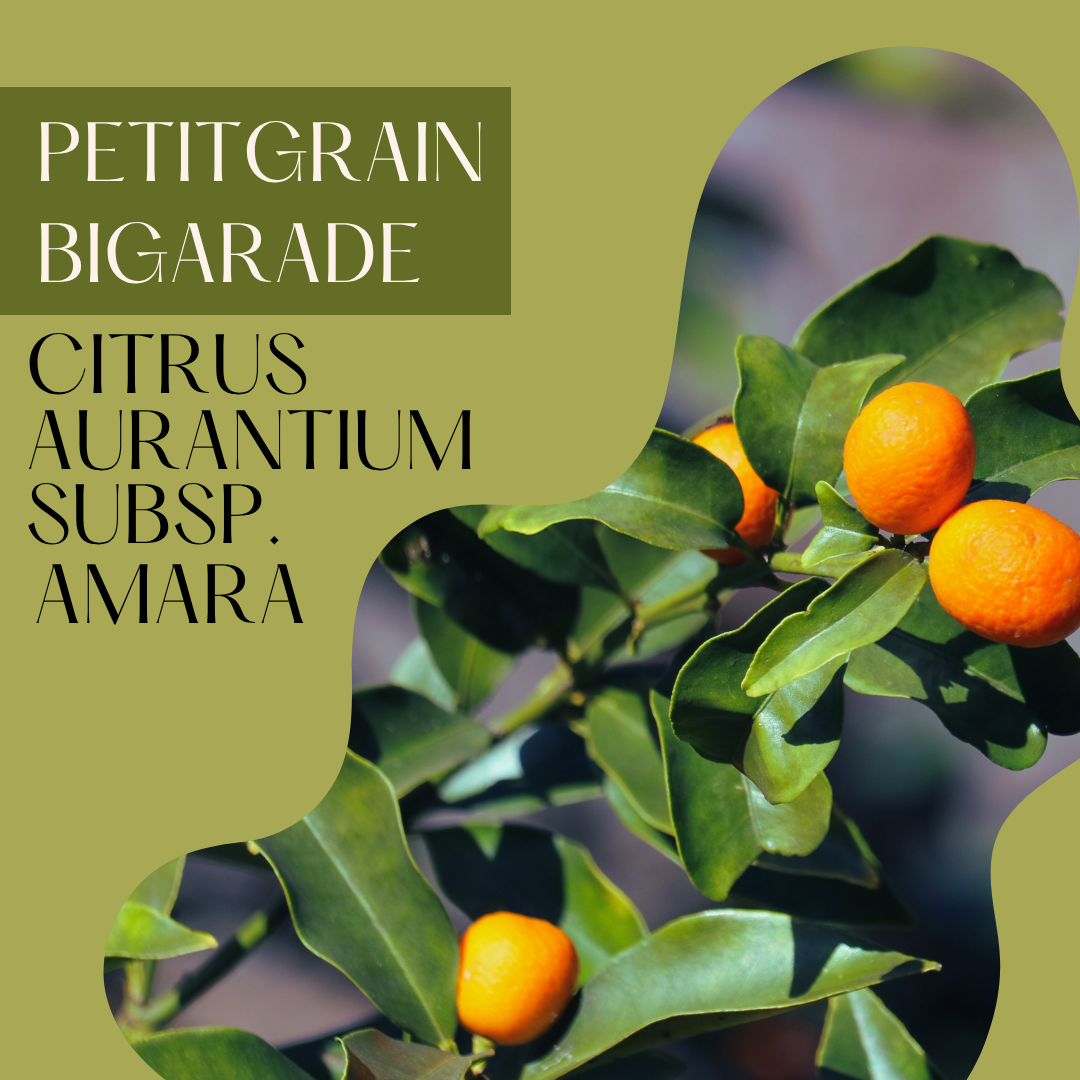 Petitgrain Bigarade