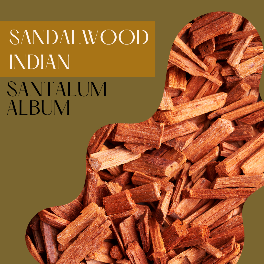 Sandalwood Indian Australian Grown